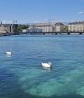 Встретьте Мужчинa : Riad, 59 лет до Швейцария  Geneve